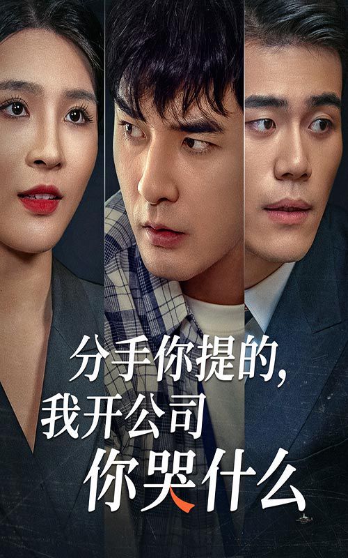 分手你提的，我开公司你哭什么 第1-20集