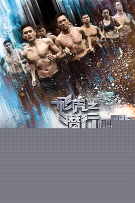 飞虎之潜行极战国语