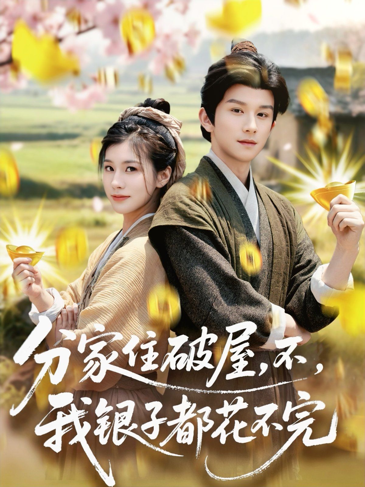 分家住破屋，不，我银子都花不完(全集)