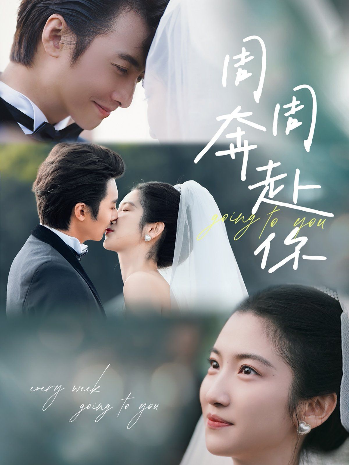周周奔赴你(全集)